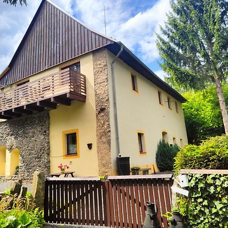 Bed And Breakfast Tvrz Velka Bukovina Exterior photo